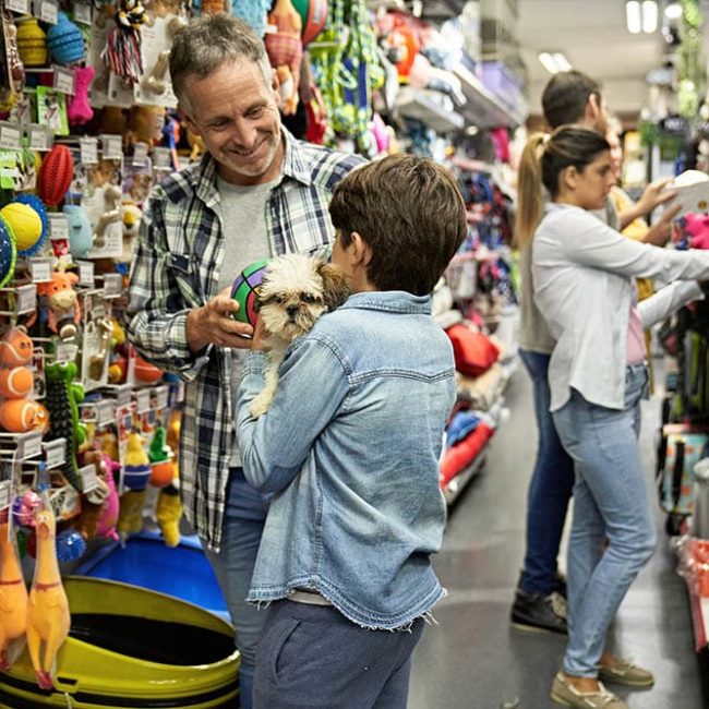 Pet Shop Presentations - Caucasian man in mid 40s smiling at 9 year old son holding dog as they shop for toys and accessories.